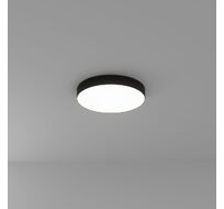 Потолочный светильник Arte Lamp FADO A6650PL-1BK