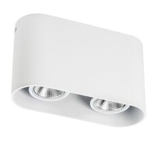 Накладной светильник LightStar Rullo 214866_LS