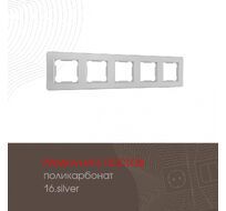 Рамка из поликарбоната на 5 постов Arte Milano 502.16-5.silver