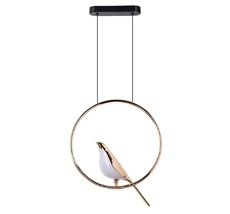 Подвесной светильник Divinare SUMMER 1188/01 SP-9_DI