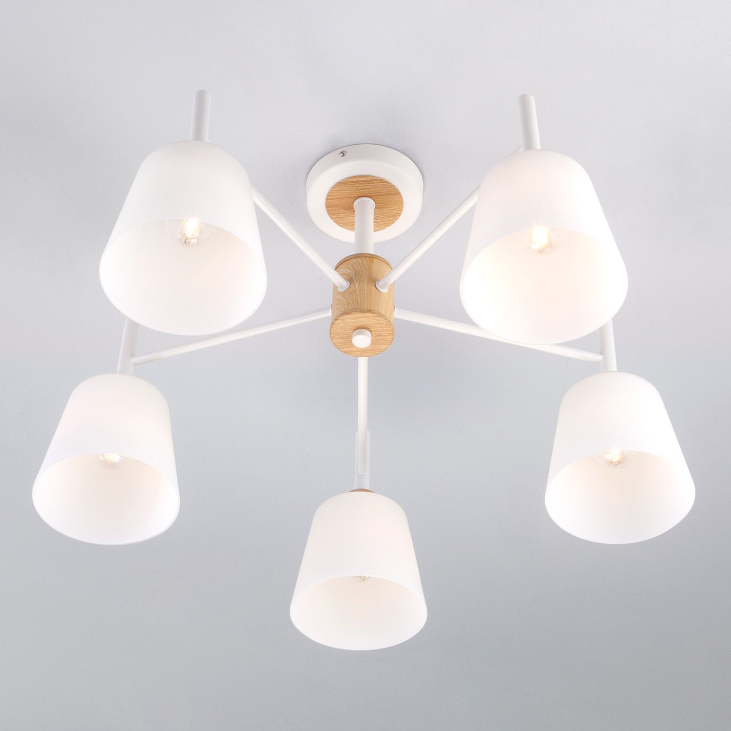 Потолочная люстра Eurosvet Fresco 00000083420_EU