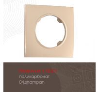 Рамка из поликарбоната на 1 пост Arte Milano 502.04-1.shampan