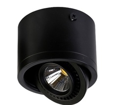 Потолочный светильник Favourite 1777-1C