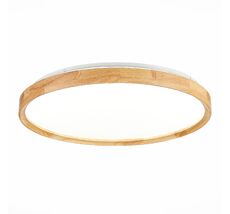 Потолочный светильник Evoluce DELIA SLE201382-01