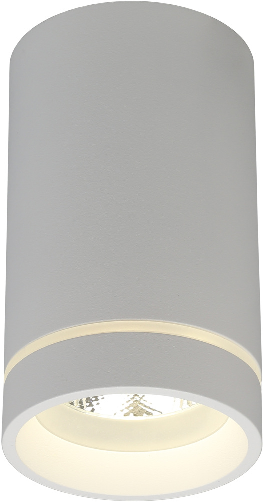 Накладной светильник светодиодный Aployt APL.0054.09.10