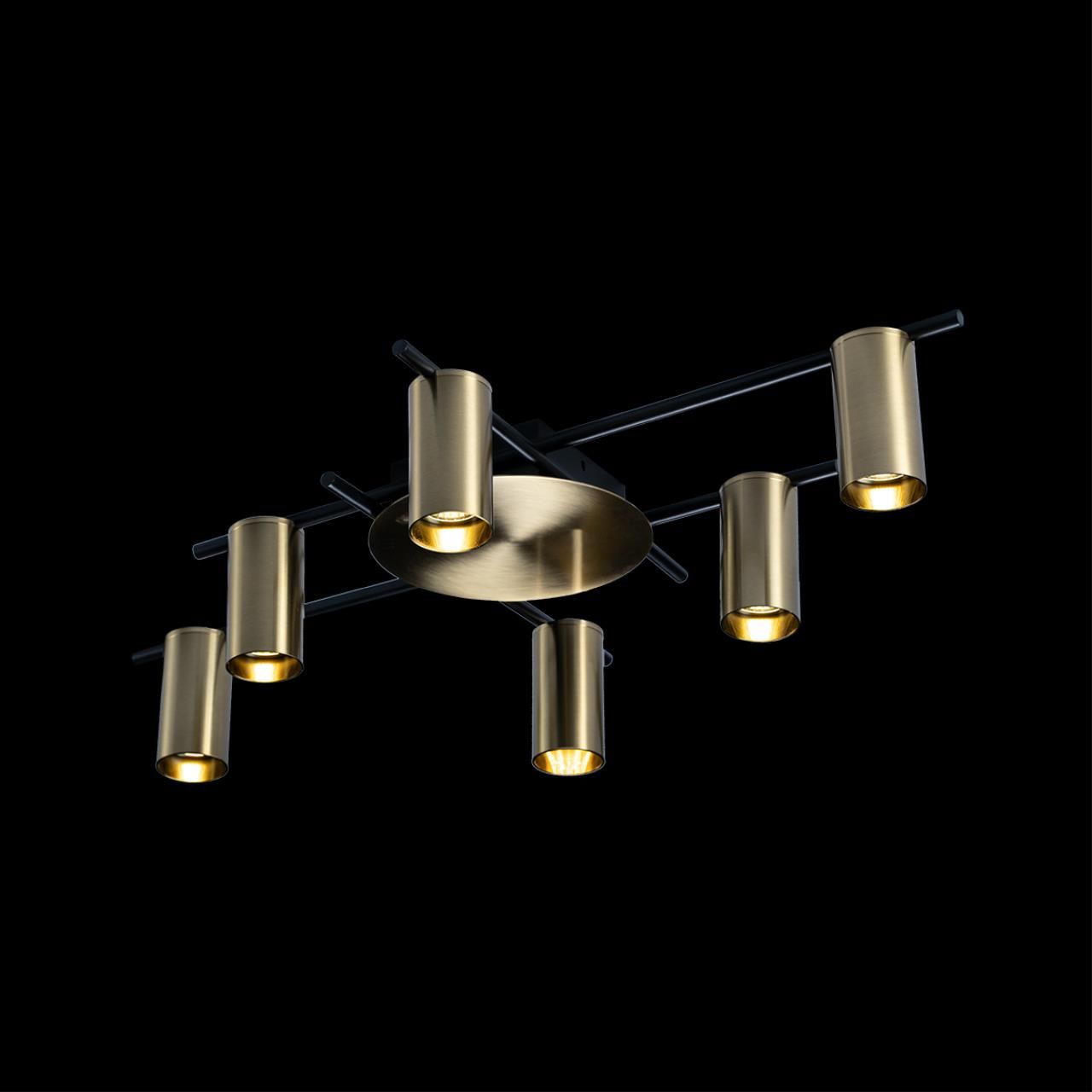 Потолочная люстра Loft IT Tribes 8120C-6_LF