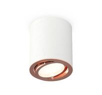 Накладной светильник Ambrella light Комплект накладного поворотного светильника Techno XS7421004_AMB