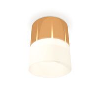 Комплект накладного светильника Ambrella light с акрилом XS Techno XS8121011_AMB