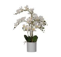 Искусственное растение в горшке Eglo Living HYUGA 428024