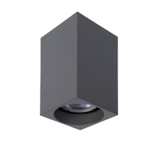 Накладной светильник Lucide Delto 09916/06/36