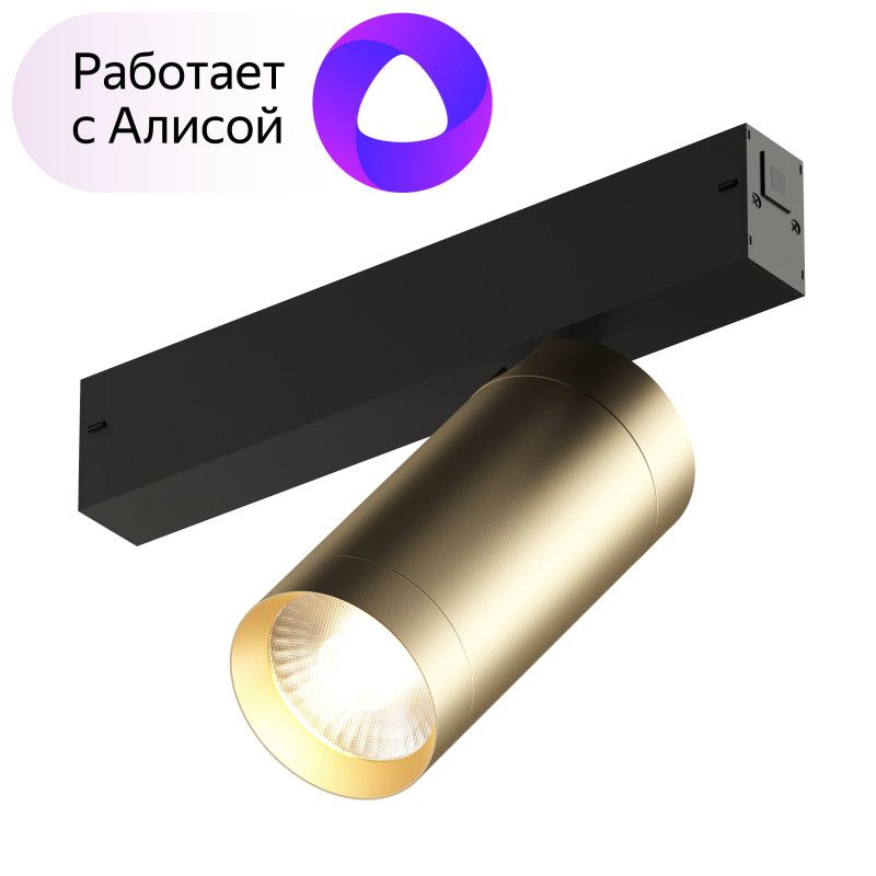 

Светильник трековый Denkirs SMART SPOT DK8020-BG, DK8020-BG