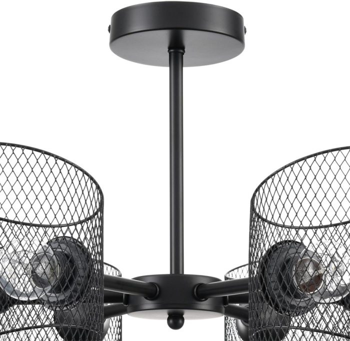 Потолочная люстра Lumion TIDINA 8238/6C