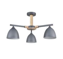 Потолочная люстра Lumion COLANGE 8096/3C