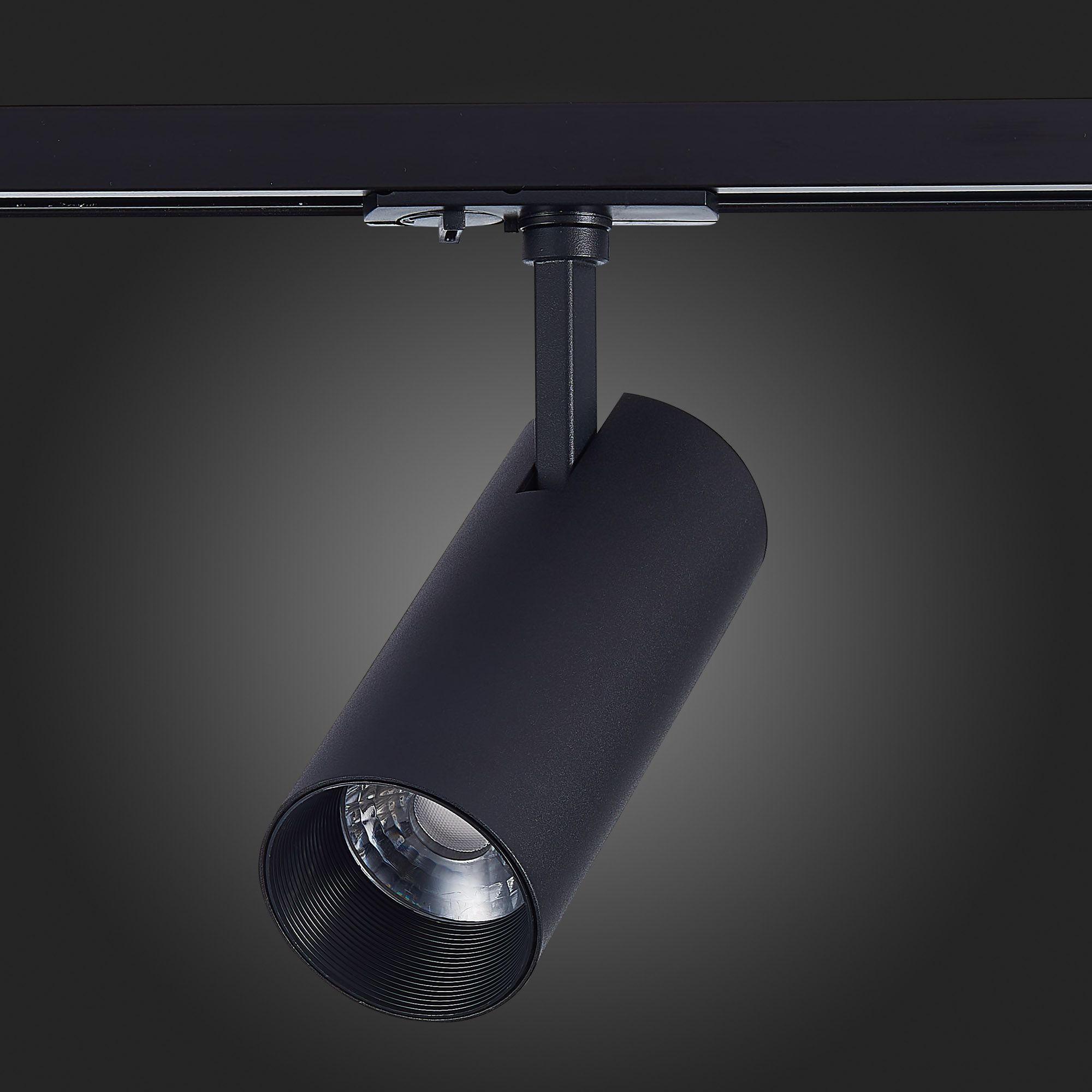 Трековый светильник ST Luce однофазный MONO ST350.446.20.36