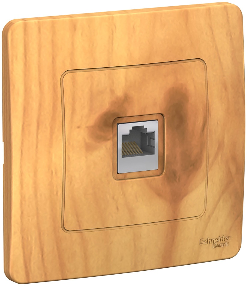 Розетка встраиваемая Ethernet RJ-45 (ясень) Systeme Electric BLNIS045005