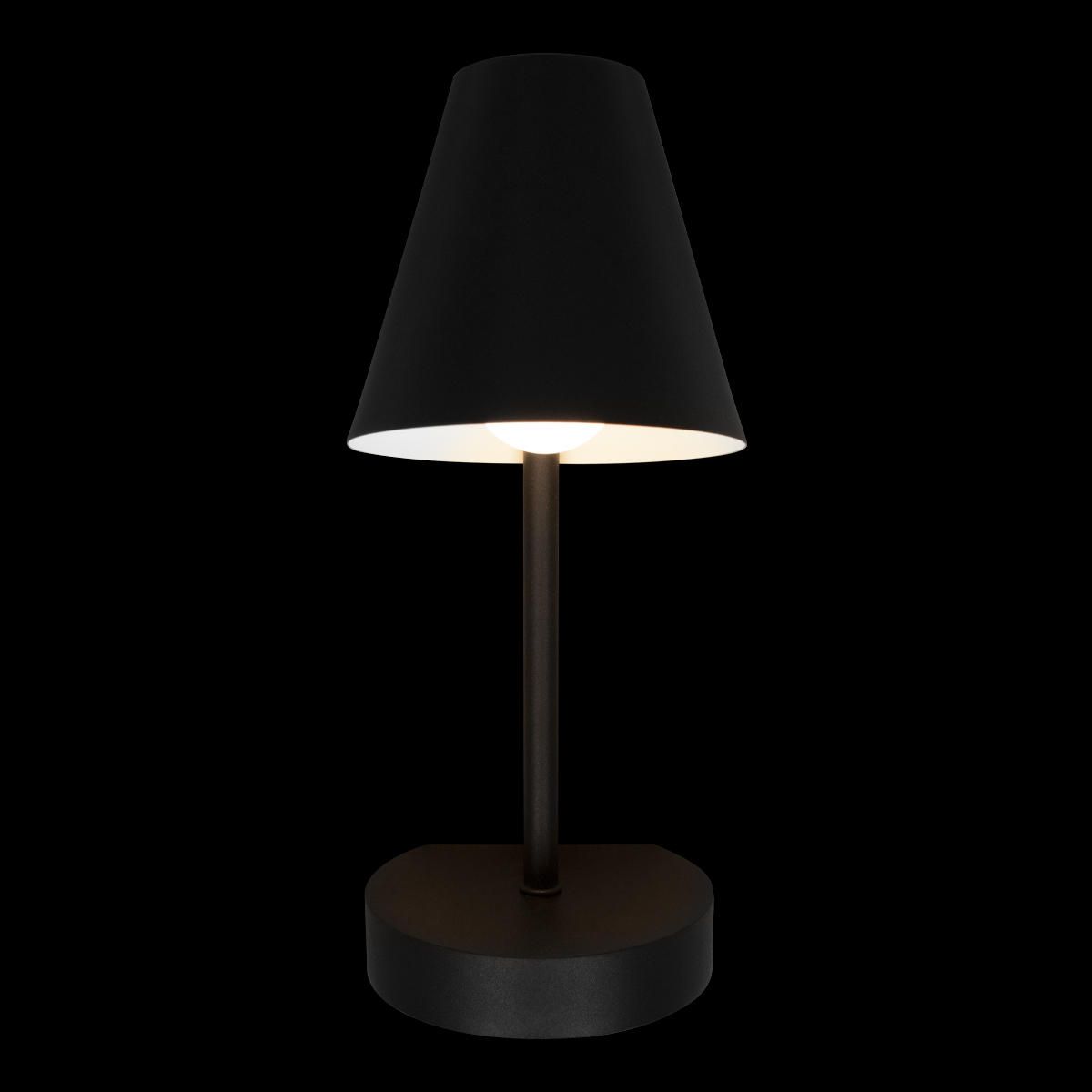 Настенный светильник Loft IT Shelf 10216/1W Black_LF