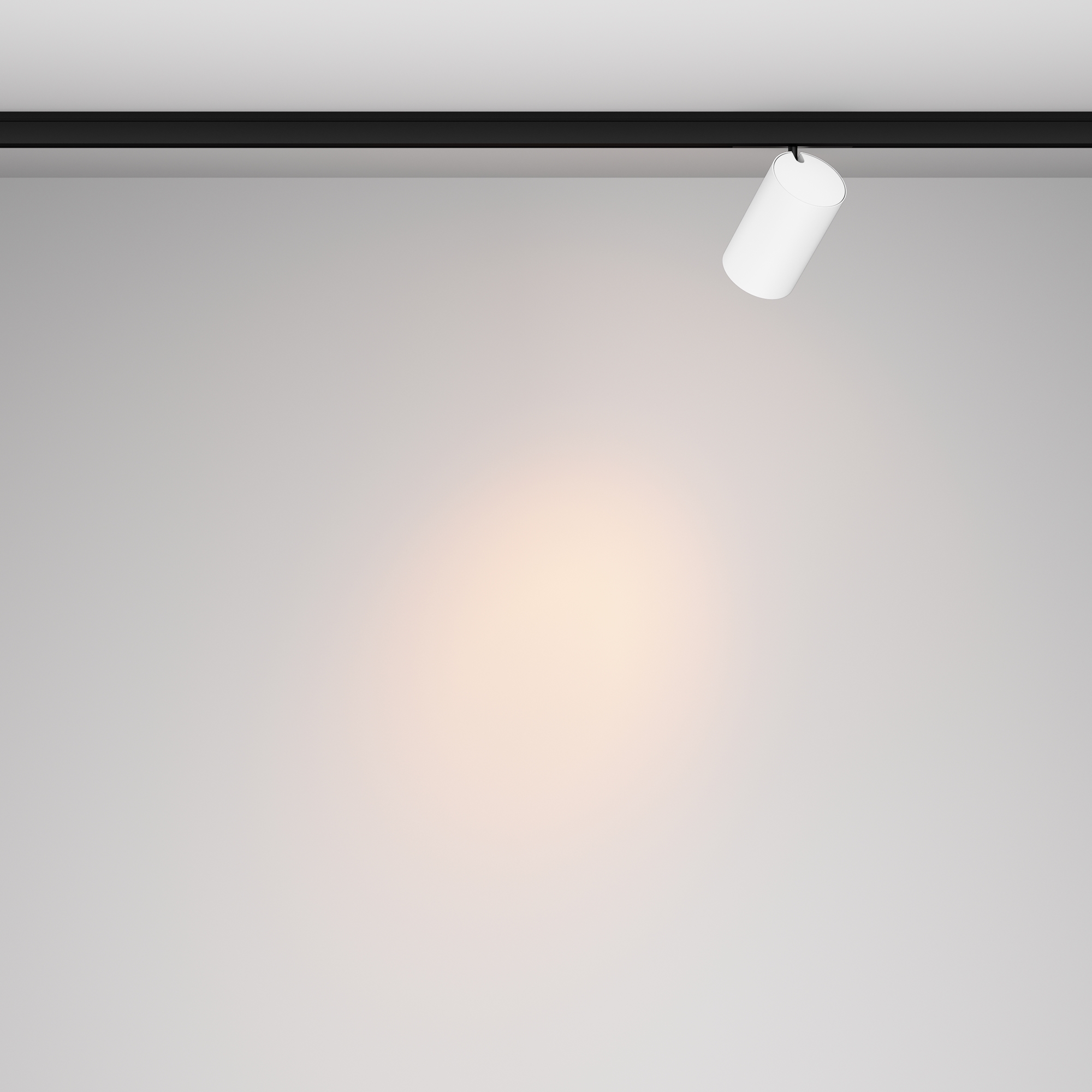 Трековый светильник Maytoni Focus Led TR187-1-5W2.7K-M-BW_MY