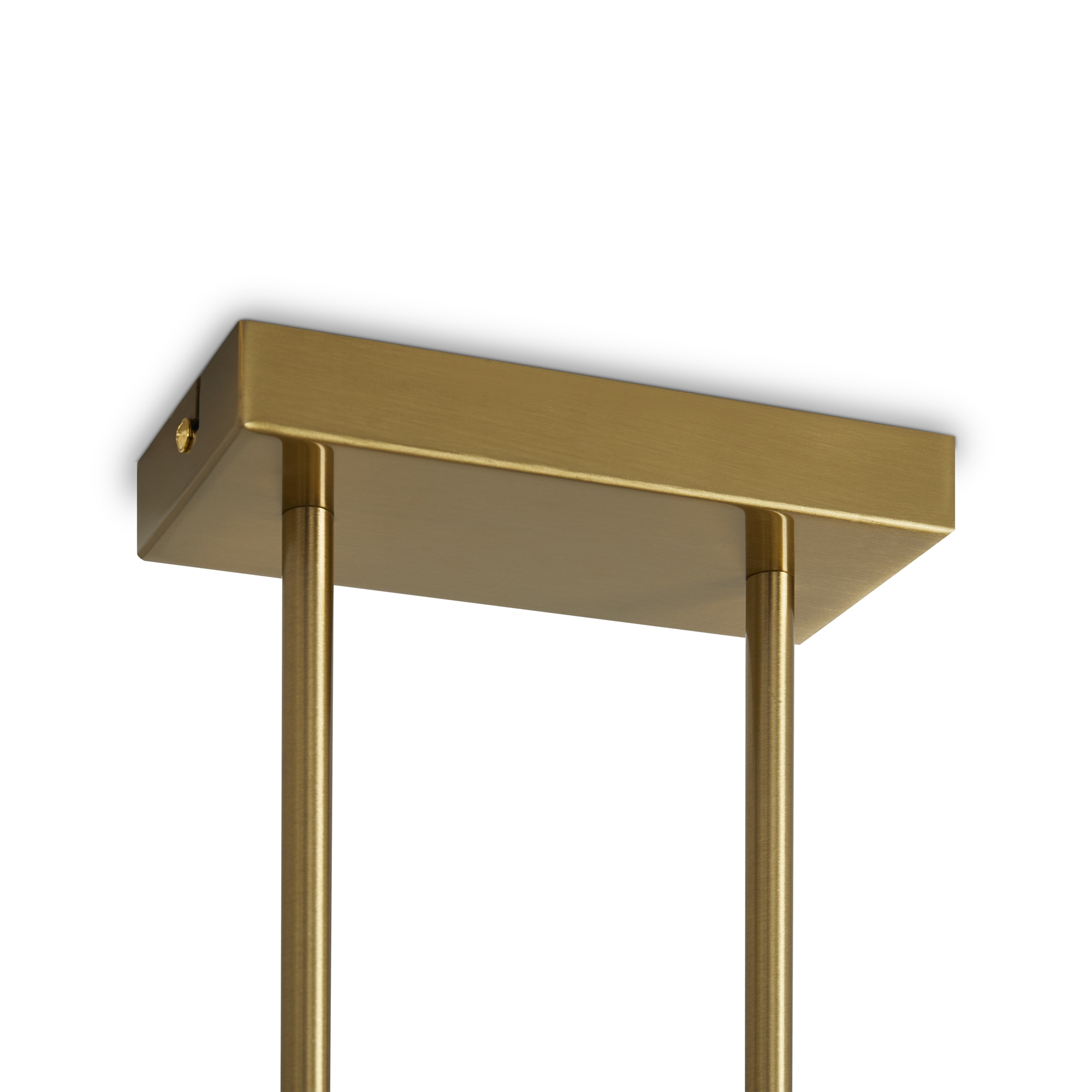 Потолочная люстра Freya Kamelia FR5446PL-04BS_MY