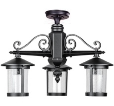 Потолочный светильник уличный IP44 Oasis Light 18270A/3 Bl_OL