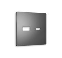 Лицевая панель для розетки 2USB тип A+C QUANT Ambrella Volt ALFA AP6610_AMB
