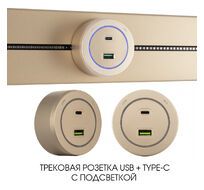 Трековая розетка Arte Milano track-sockets 399731TS/USB-Type-C Gold