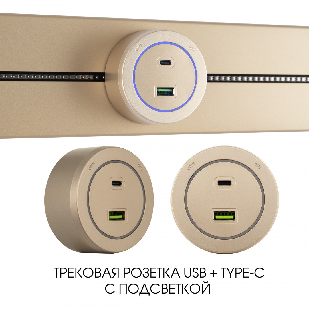 Трековая розетка Arte Milano track-sockets 399731TS/USB-Type-C Gold