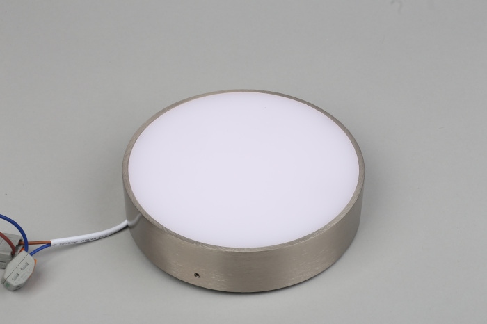 Потолочный светильник круглый светодиодный Aployt APL.0114.19.18