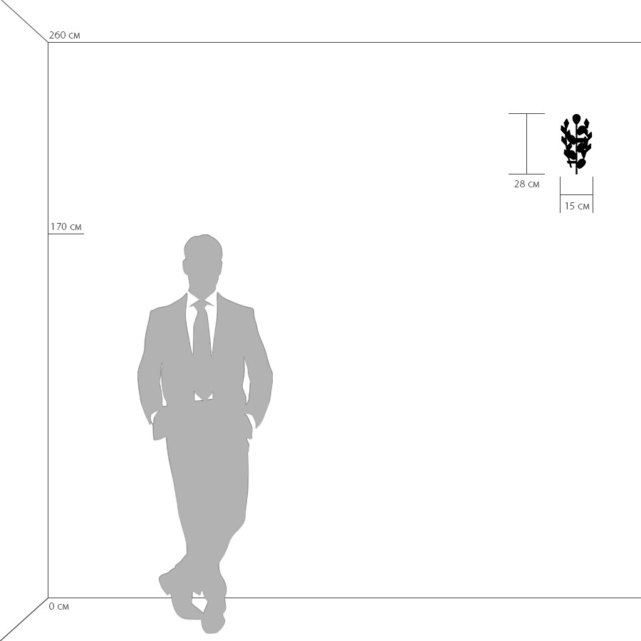 Бра LightStar Isabelle 791614_LS