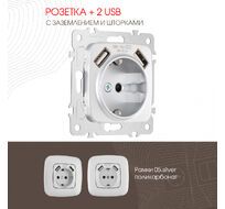 Розетка с заземлением шторками + 2 USB 16A 250V USB DC 5V 2.1A Arte Milano 205.47-1.silver