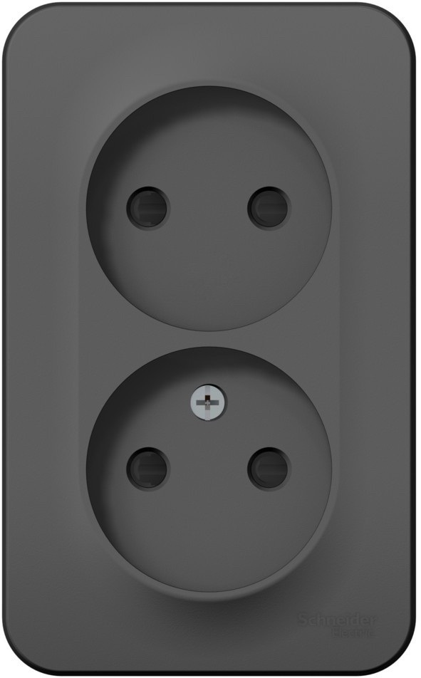 Розетка накладная двойная без заземления со шторками (антрацит) Systeme Electric BLNRA001216