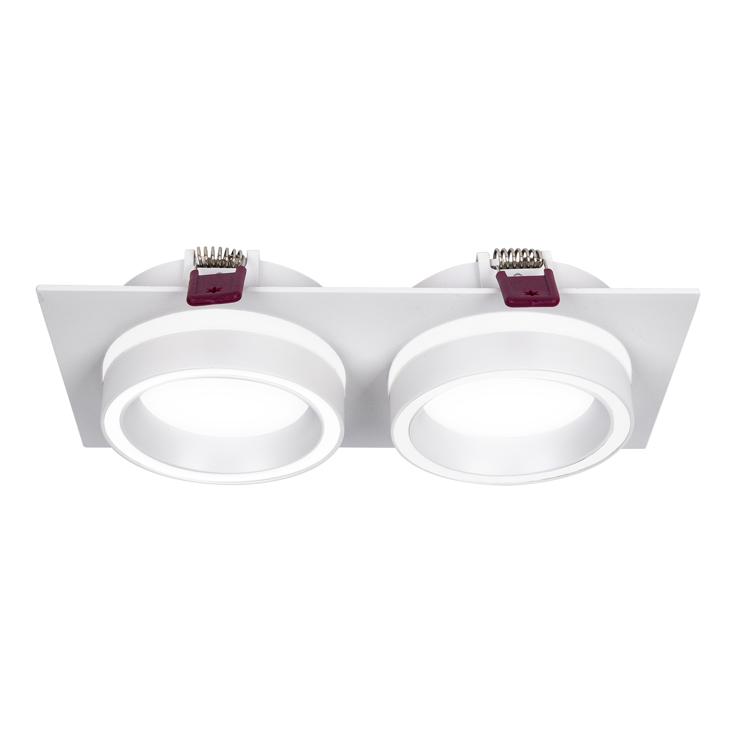 Врезной светильник Favourite Vasto 4650-2C