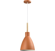 Подвесной светильник Moderli V10650-1P_MD