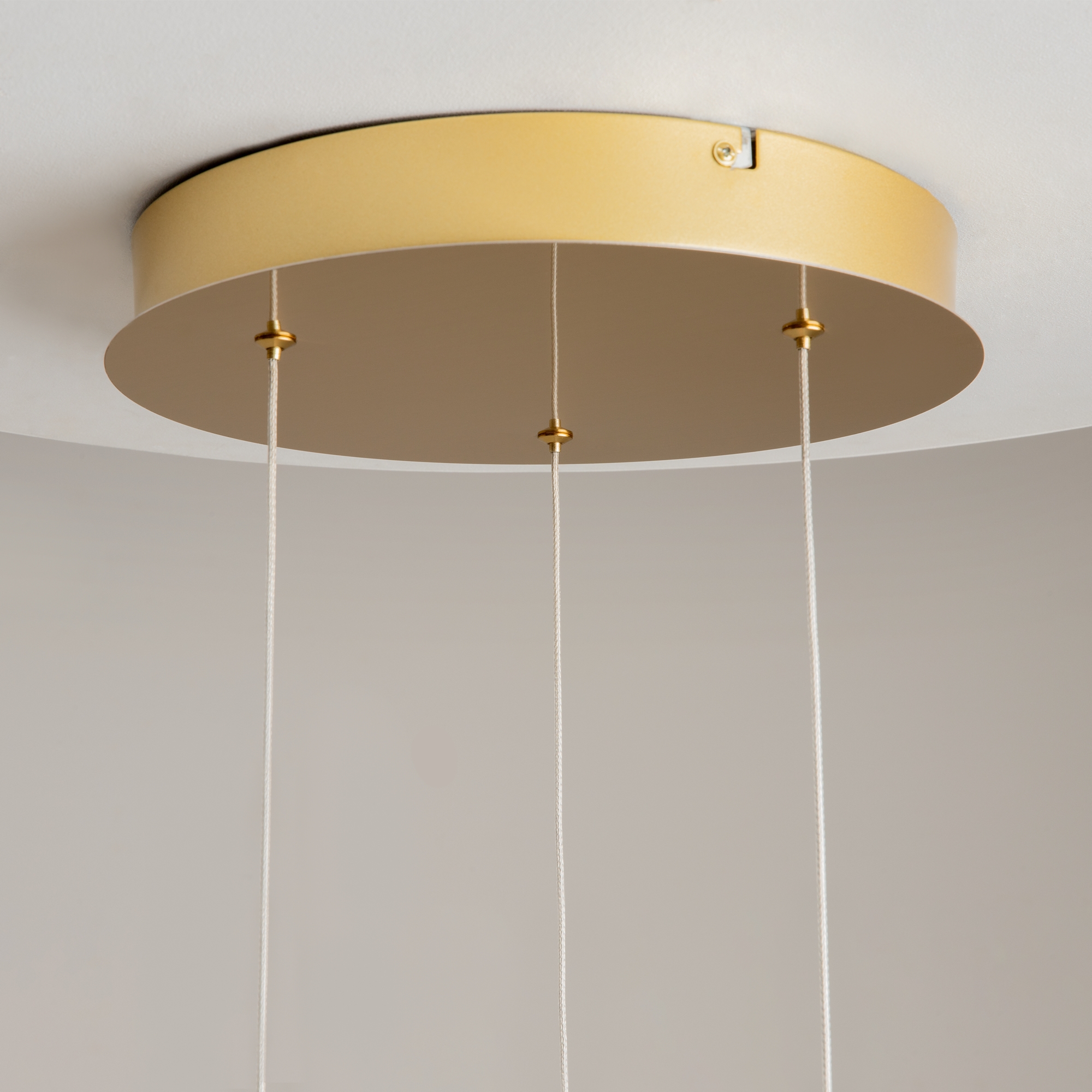 Подвесной светильник Maytoni Foresight MOD347PL-L24BS3K_MY