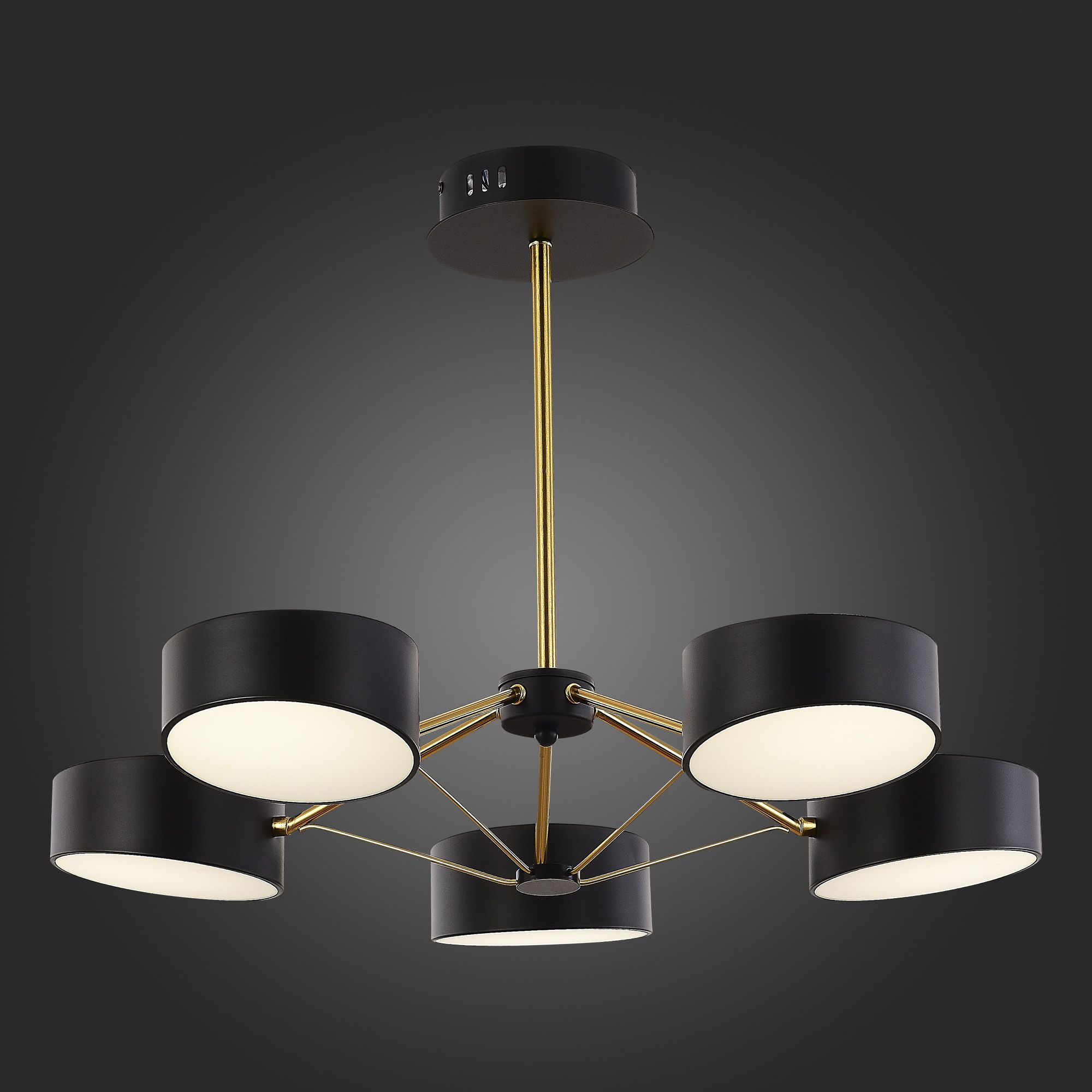 Потолочная люстра Evoluce на штанге MONTA LED SLE6005-402-05