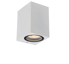 Уличный потолочный светильник ZARO 69800/01/31