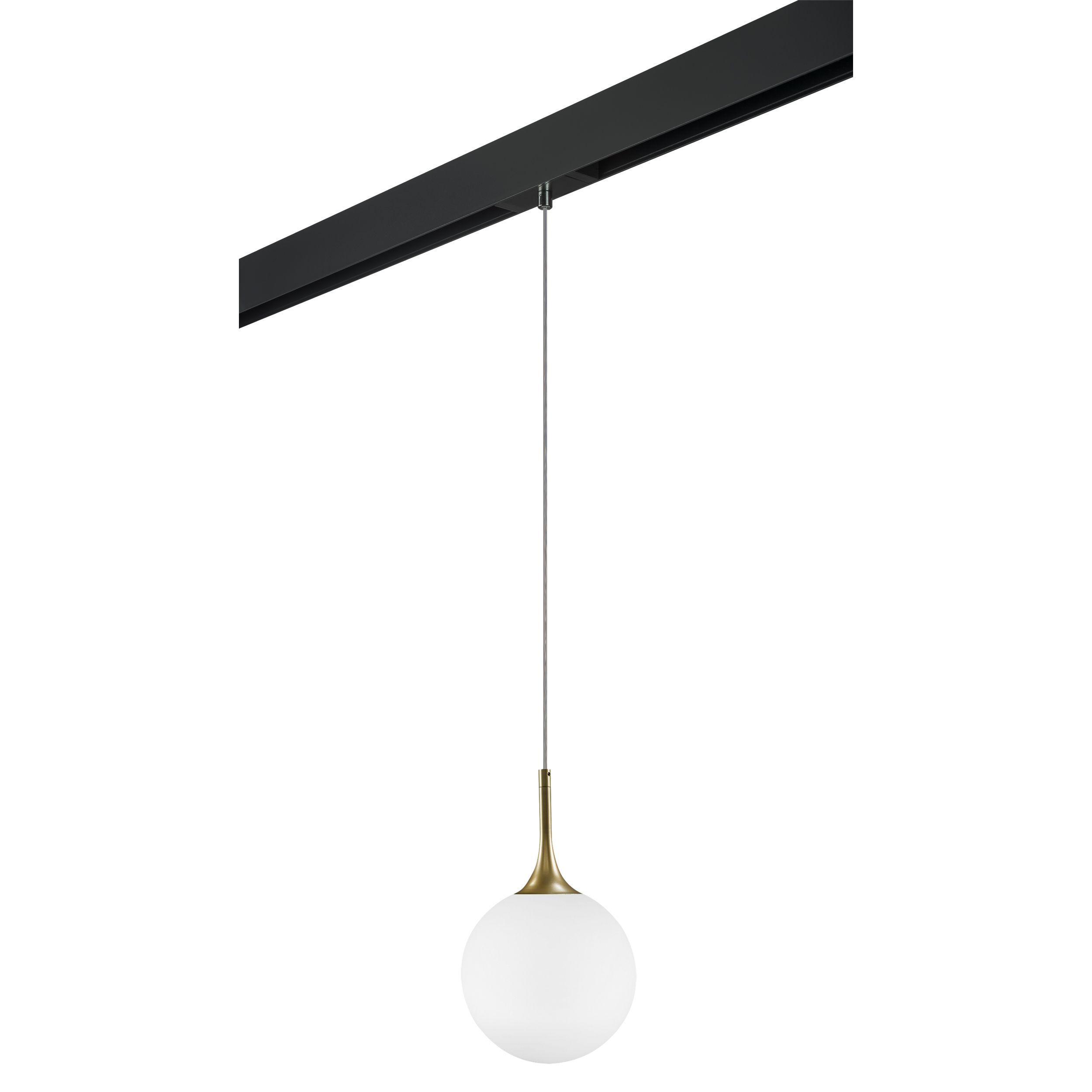 

Трековый светильник подвесной Lightstar Globo PRO813022, PRO813022