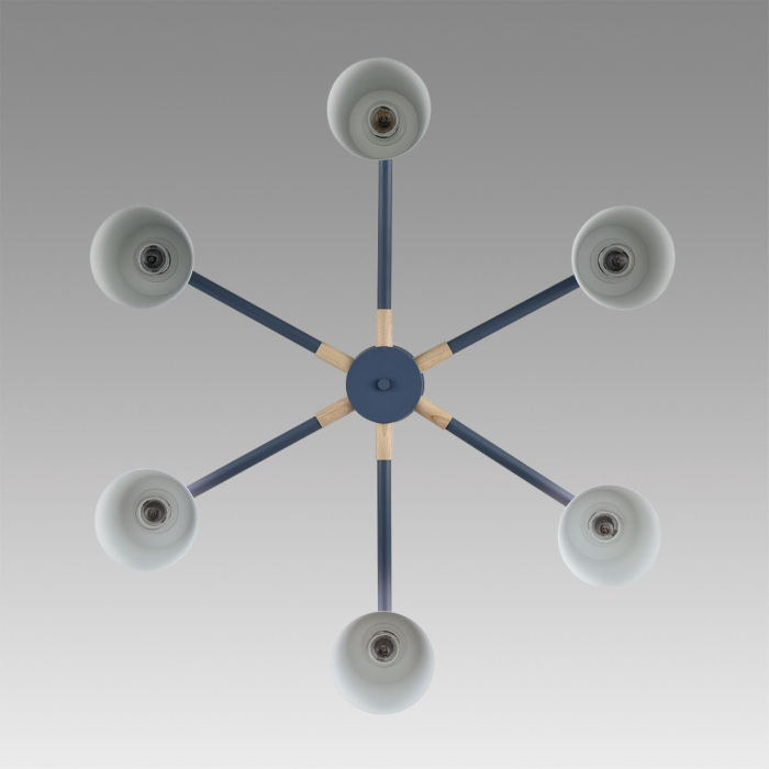 Потолочная люстра Lumion ROSALINA 8098/6C