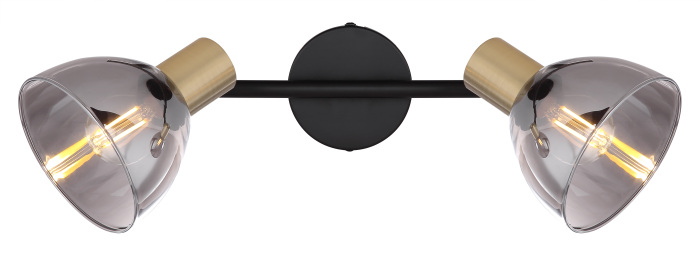 Спот Globo Jay 54305-2_GL