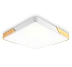 Потолочный светодиодный светильник Ambrella Light ORBITAL Design FZ1313_AMB