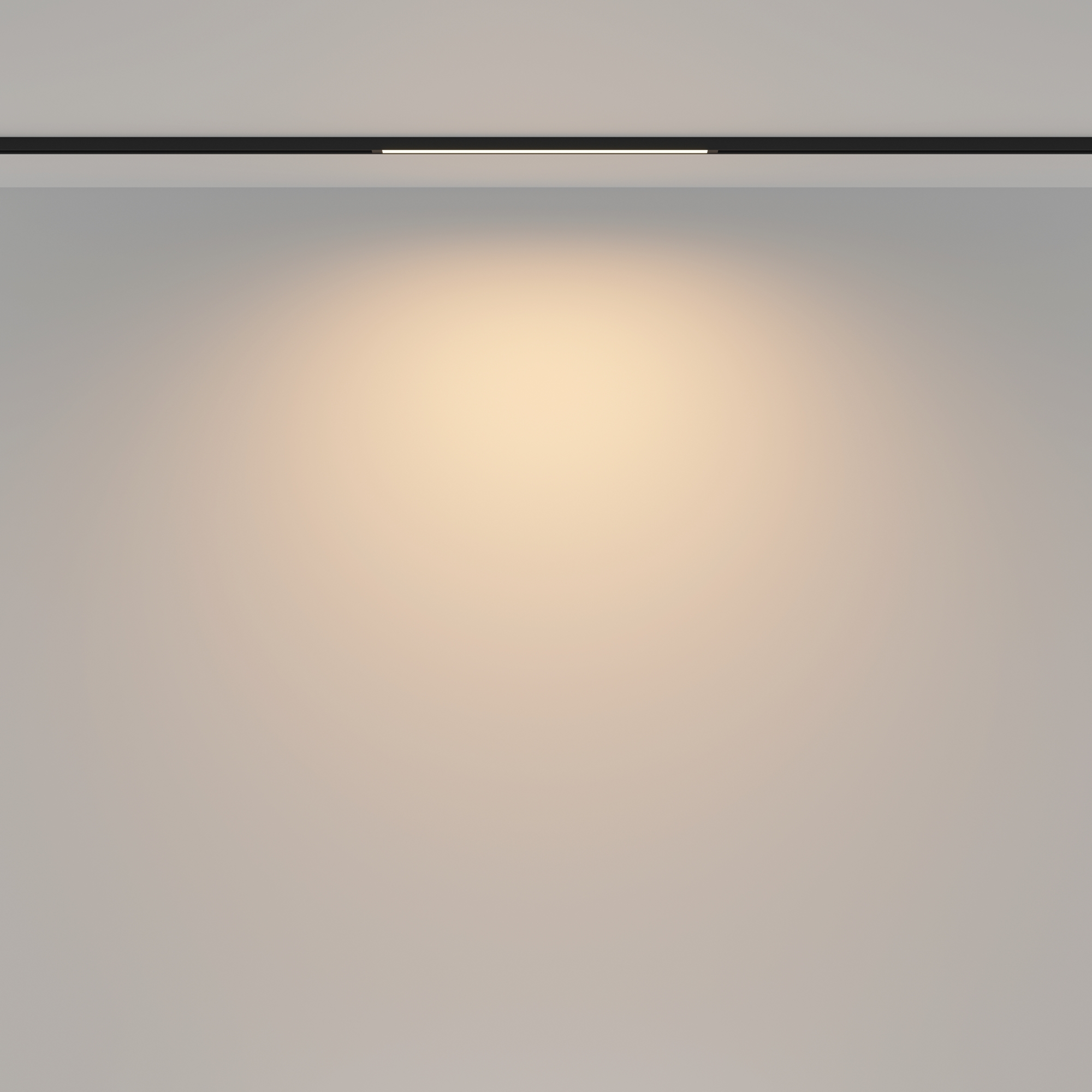 Трековый светильник BASITY Maytoni Basis TR173-1-8WTW-B_MY