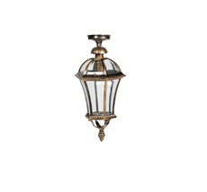 Потолочный светильник уличный IP44 Oasis Light 95205LA Gb_OL