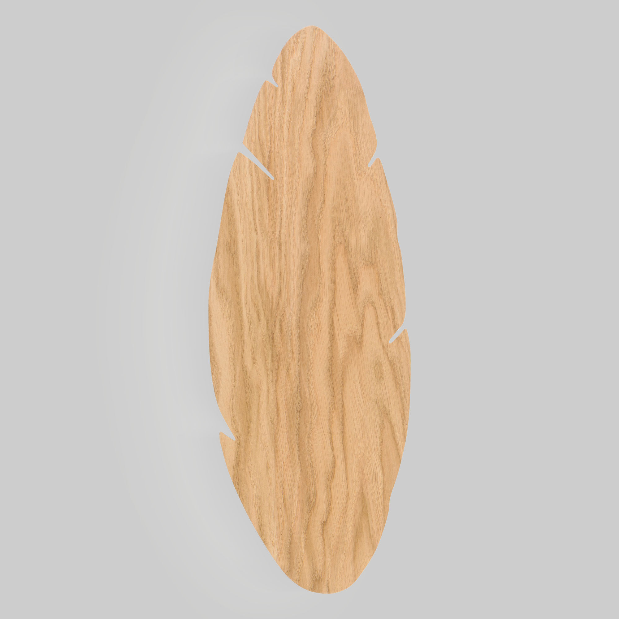 Настенный светильник TK Lighting Hoja a065086_EU
