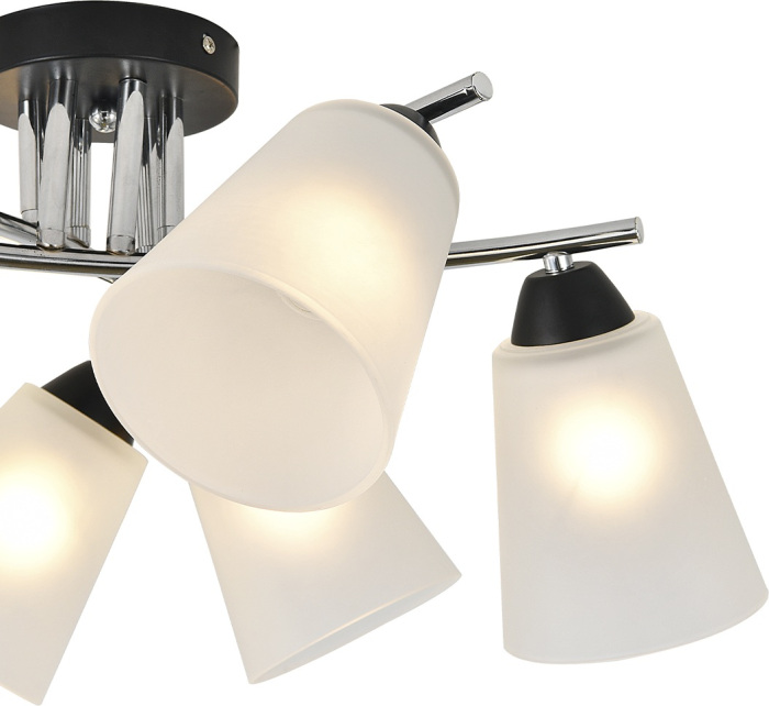 Люстра потолочная накладная с матовым плафоном Escada 2132/6P_ESC