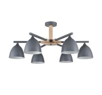 Потолочная люстра Lumion COLANGE 8096/6C