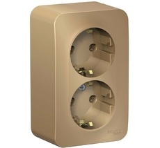 Розетка накладная двойная с заземлением (титан) Systeme Electric BLNRA010204