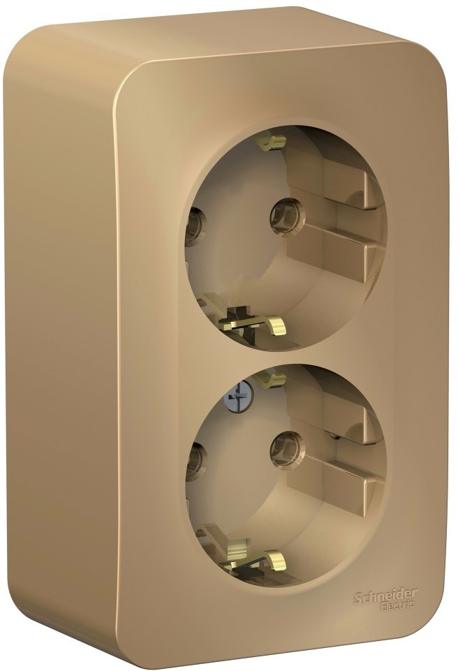 Розетка накладная двойная с заземлением (титан) Systeme Electric BLNRA010204