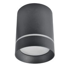 Потолочный светильник ArteLamp ELLE A1949PL-1BK