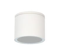 Уличный потолочный светильник Arte Lamp PIAUTOS A1913PF-1WH