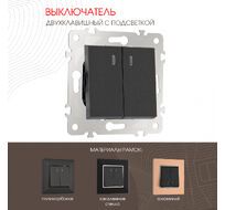 Выключатель двухклавишный с подсветкой 10AX 250V Arte Milano 203.31-2.black