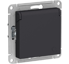 Розетка встраиваемая с заземлением, шторками и крышкой (карбон) Systeme Electric ATN001046